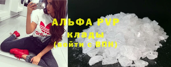 гидра Абаза