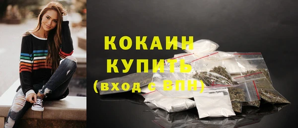 гидра Абаза