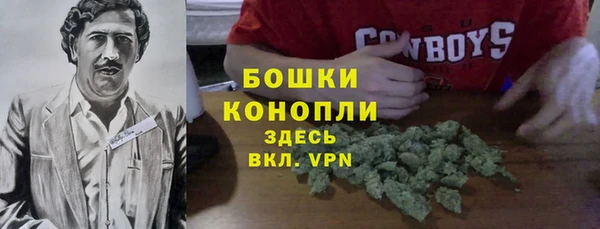 трава Покачи
