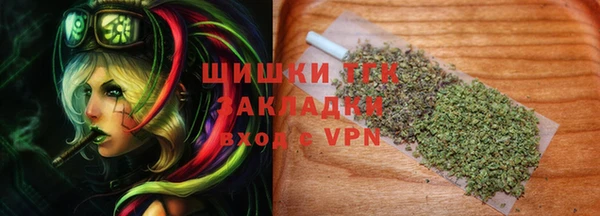 гидра Абаза