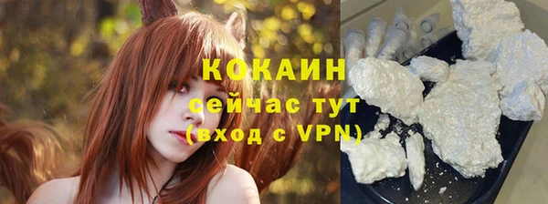 стаф Абинск