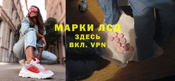 гидра Абаза