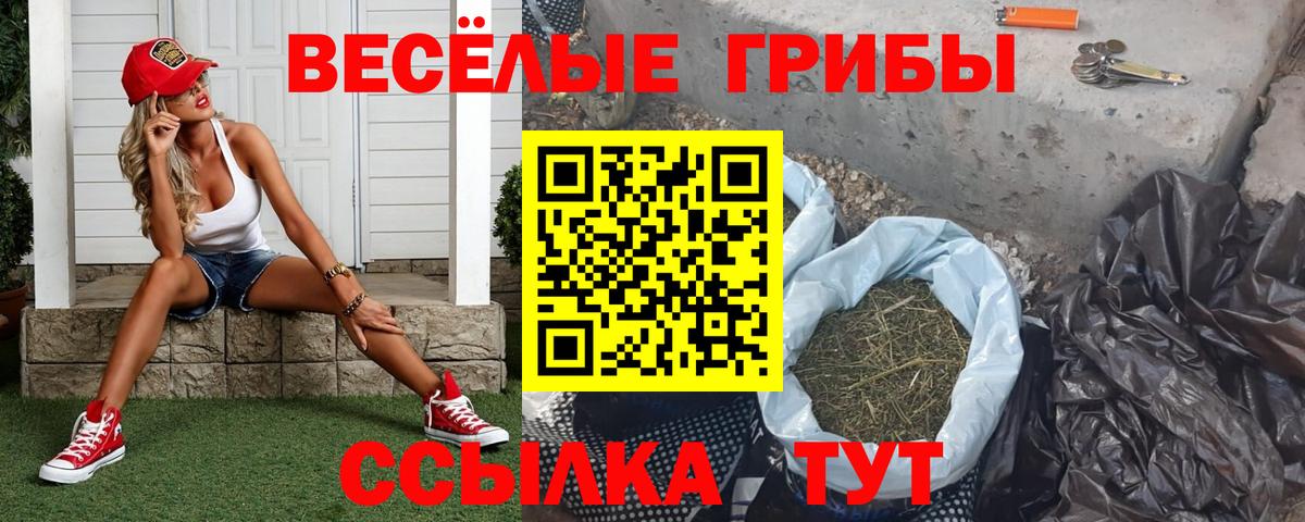 Псилоцибиновые грибы мухоморы Кандалакша